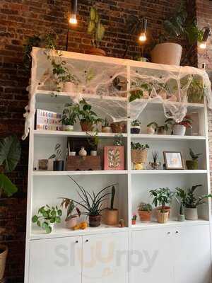 Matcha Man Ice Cream And Taiyaki