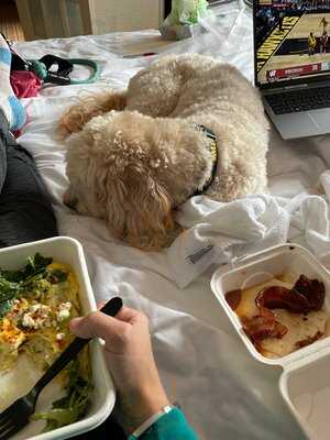 Snooze, An A.m. Eatery