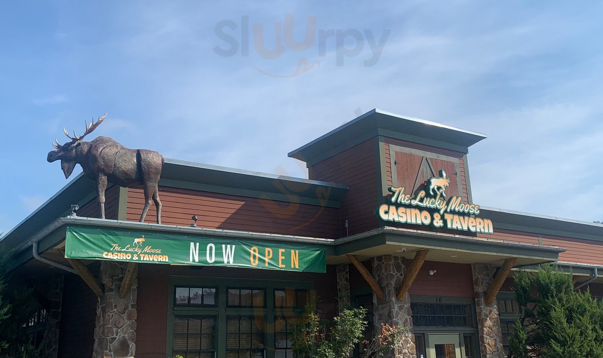 Lucky Moose Casino & Tavern