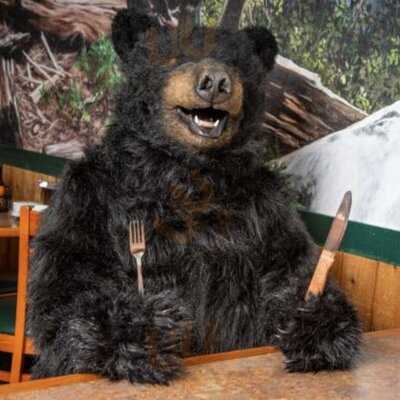 Black Bear Diner