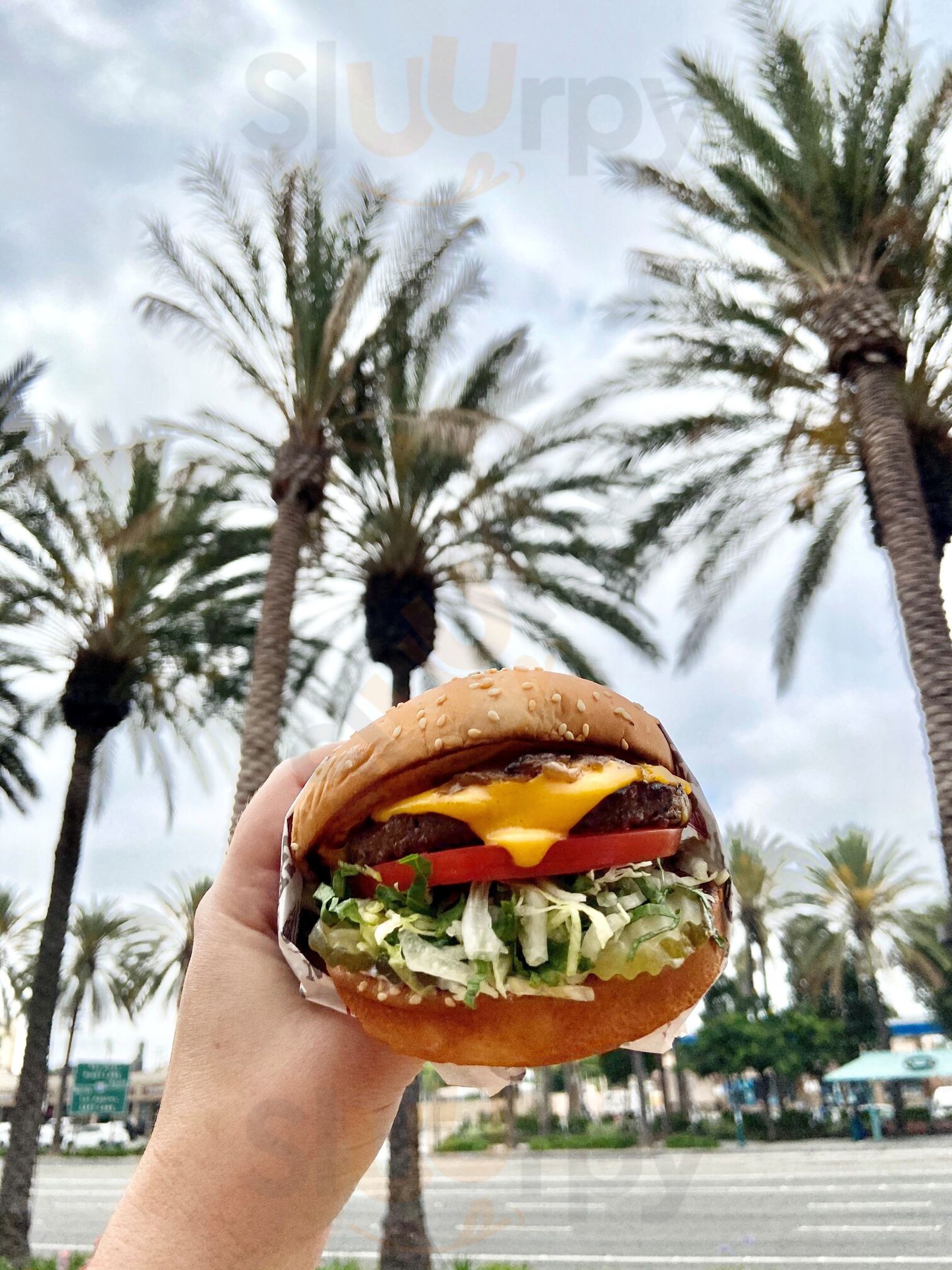The Habit Burger Grill