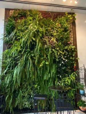 Artesano Cafe Manayunk