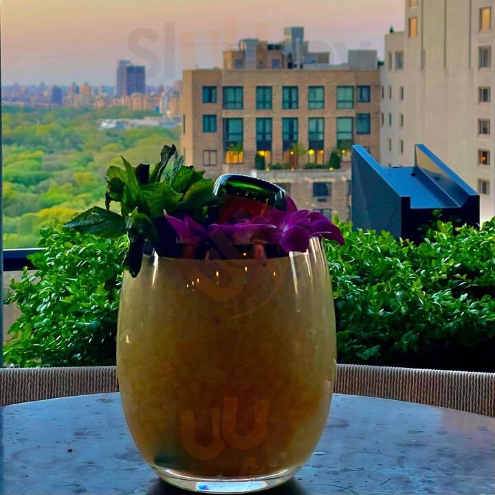 Life Rooftop Central Park