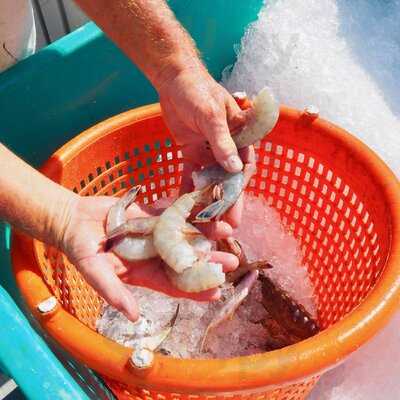 Locals Seafood Restaurant & Market