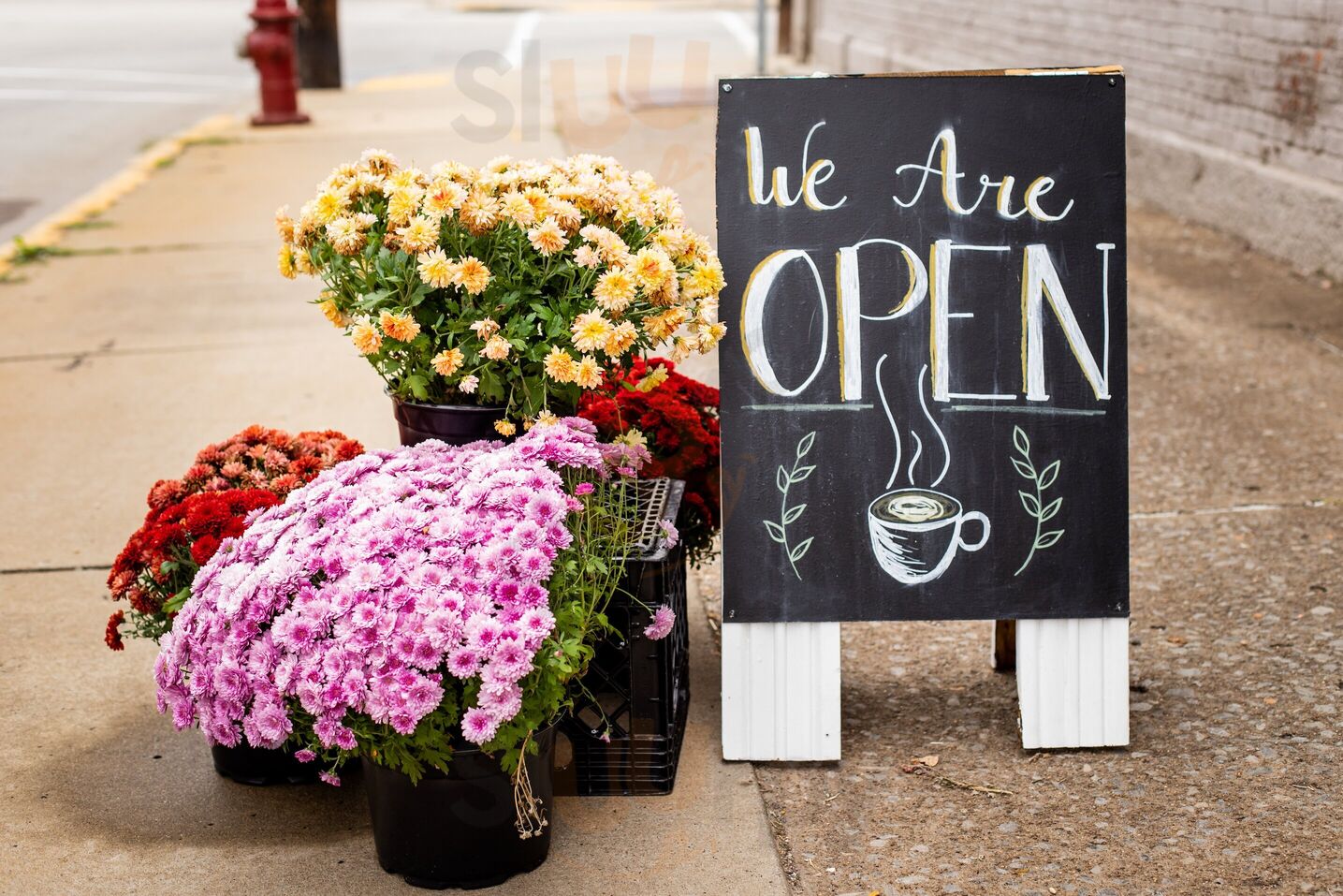 1833 Coffee And Tea Co