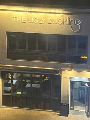 The Ugly Duckling