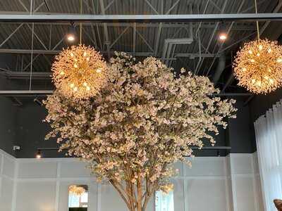 Georgies Garden Cafe