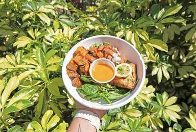 Fresh Kitchen Gainesville