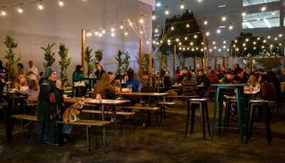 Two Pitchers Brewing Company