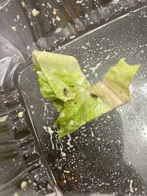 Ozark Prime Chophouse