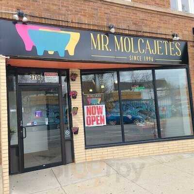 Mr Molcajetes