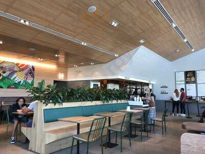 Shake Shack Park And Preston