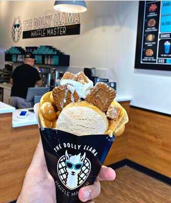 The Dolly Llama