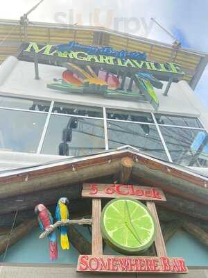 Margaritaville Restaurant - Miami Bayside