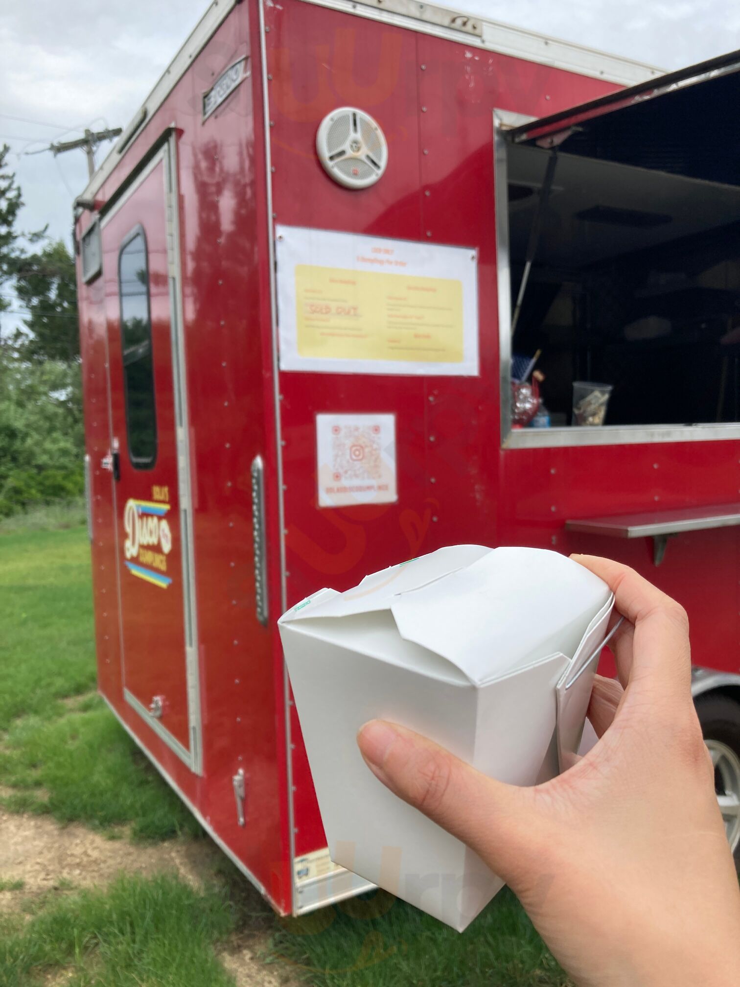 Sola's Disco Dumplings