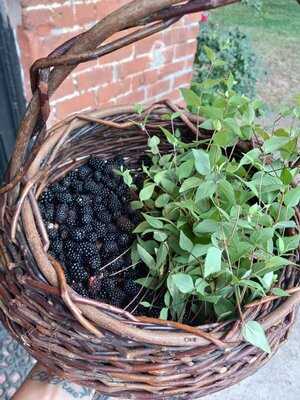 Homegrown Native Foods