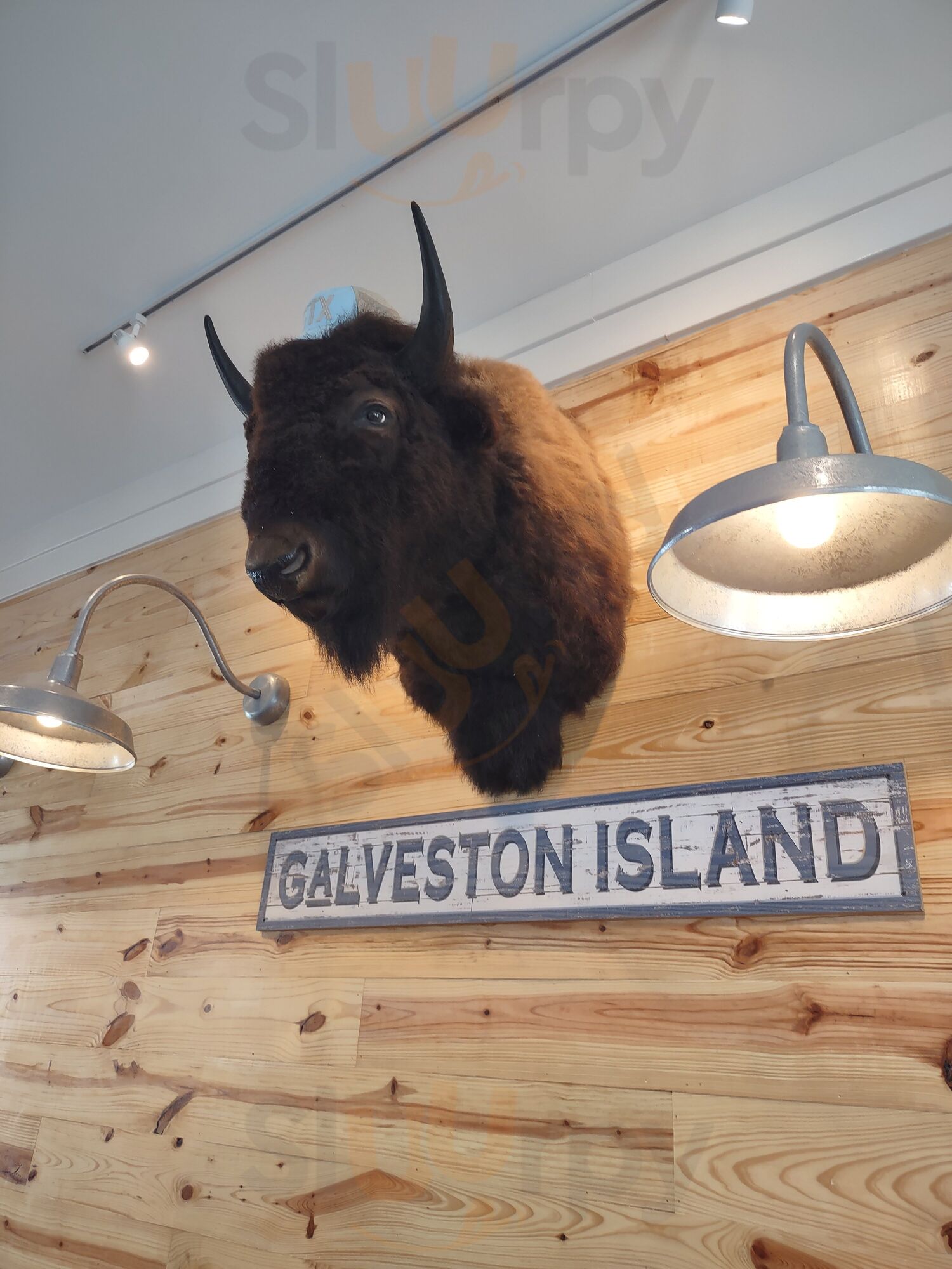 Lil' Buffalo Grille