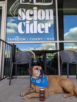 Scion Cider Bar
