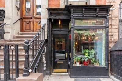 Gadfly Bar