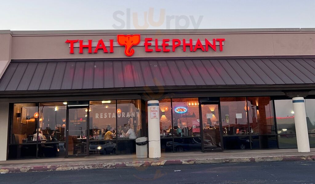 Thai Elephant