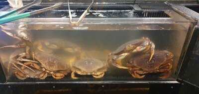 Kirin Chinese Restaurant