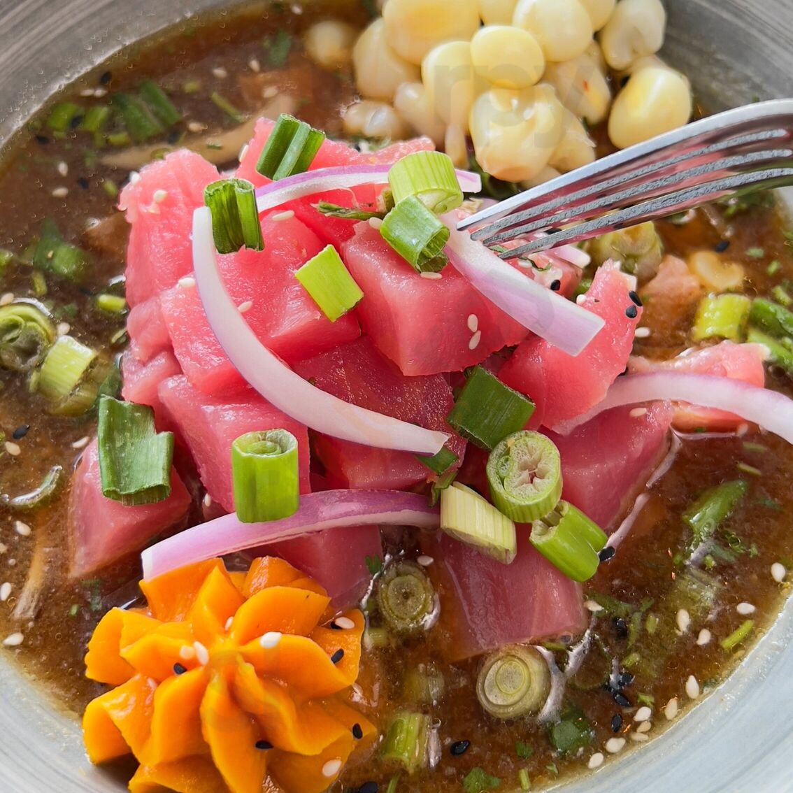 Ceviches By Divino - Rhode Island