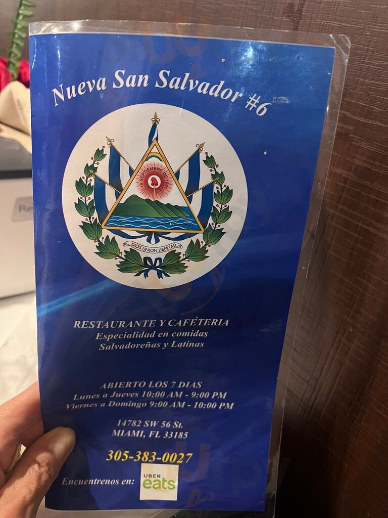 Nueva San Salvador #6