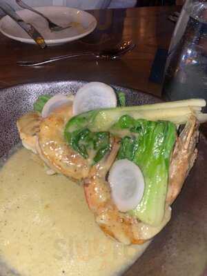 The Beast And Company