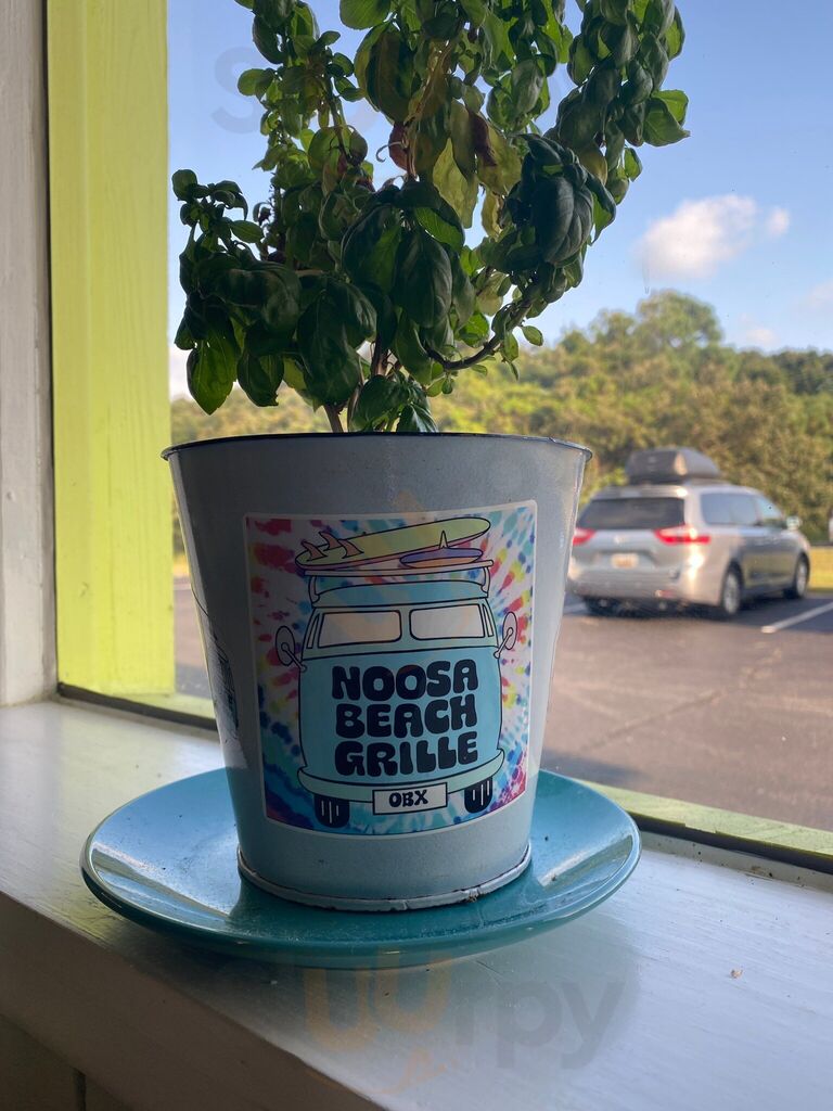 Noosa Beach Grill