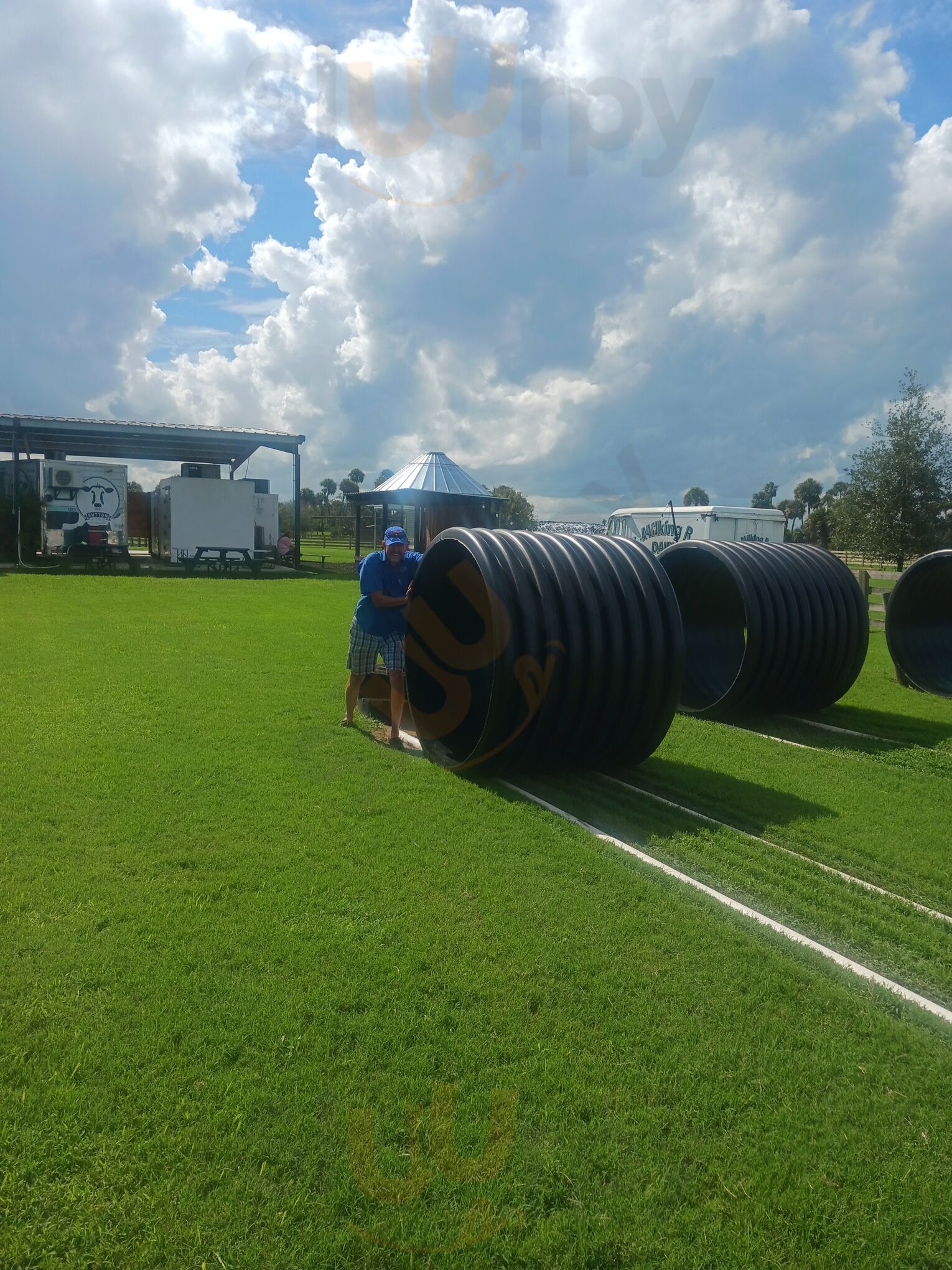 Sutton's Milk And Ice Cream