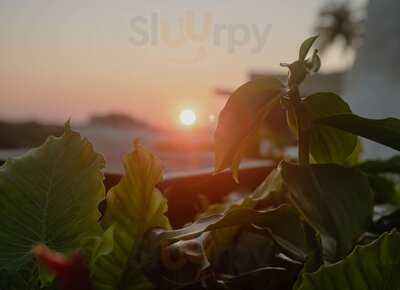 Sipsip Calypso Rum Bar