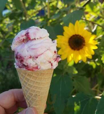 Eastern Sierra Ice Cream Company