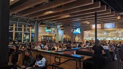 Bj's Restaurant & Brewhouse