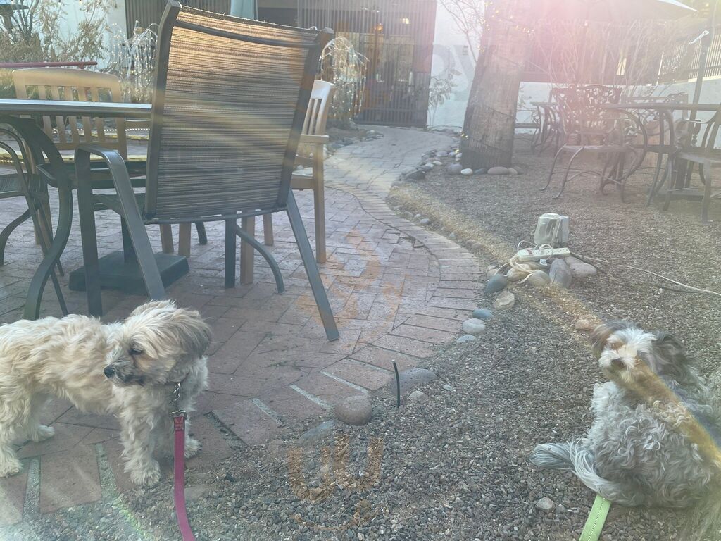 Javelina Run Wine Bar