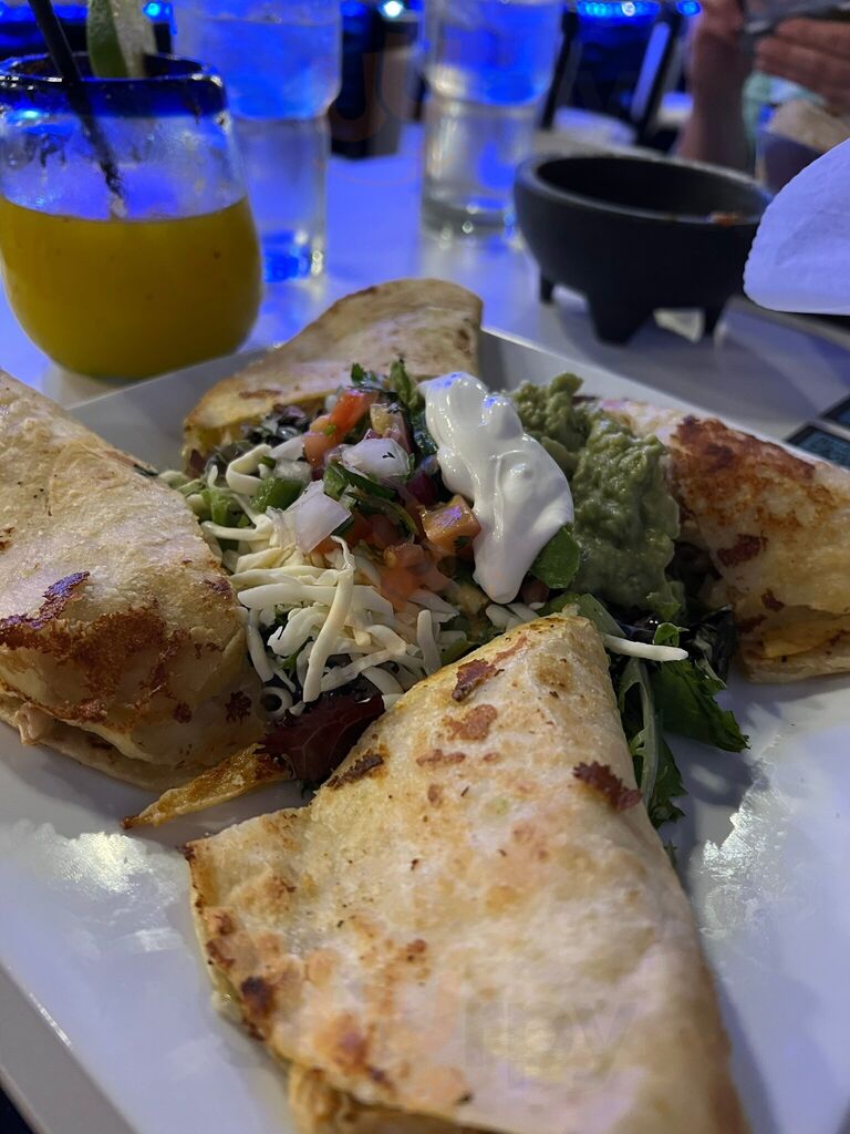 Blue Agave