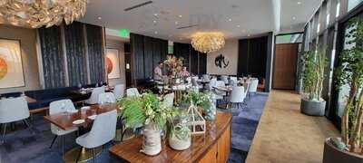 Nido At The Loren At Lady Bird Lake