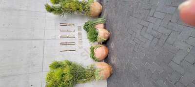 Nido At The Loren At Lady Bird Lake