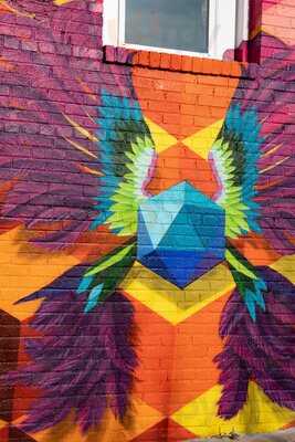 Calypso Ice Cream & Coffee Llc