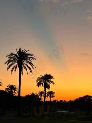 Doc Ford's Rum Bar & Grille - Jungle Terrace