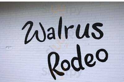 Walrus Rodeo