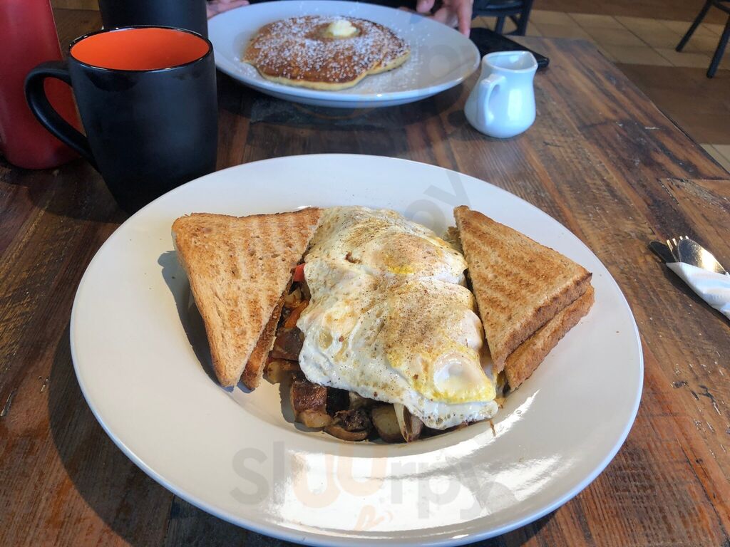 Daily Grind Coffee Co.