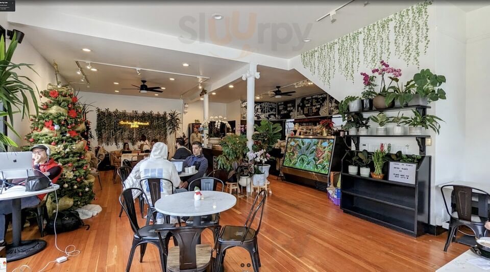 Fiddle Fig Cafe & Coffee