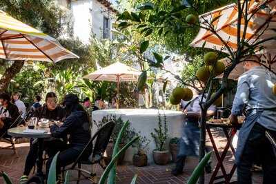 Superba Food + Bread Hollywood