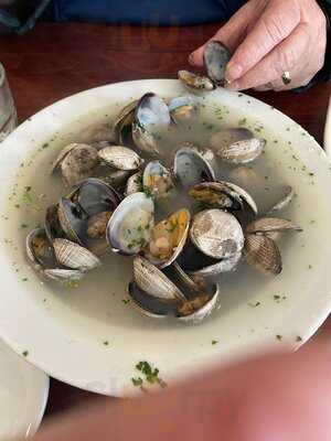 Sharks Seafood Bar & Steamer Co