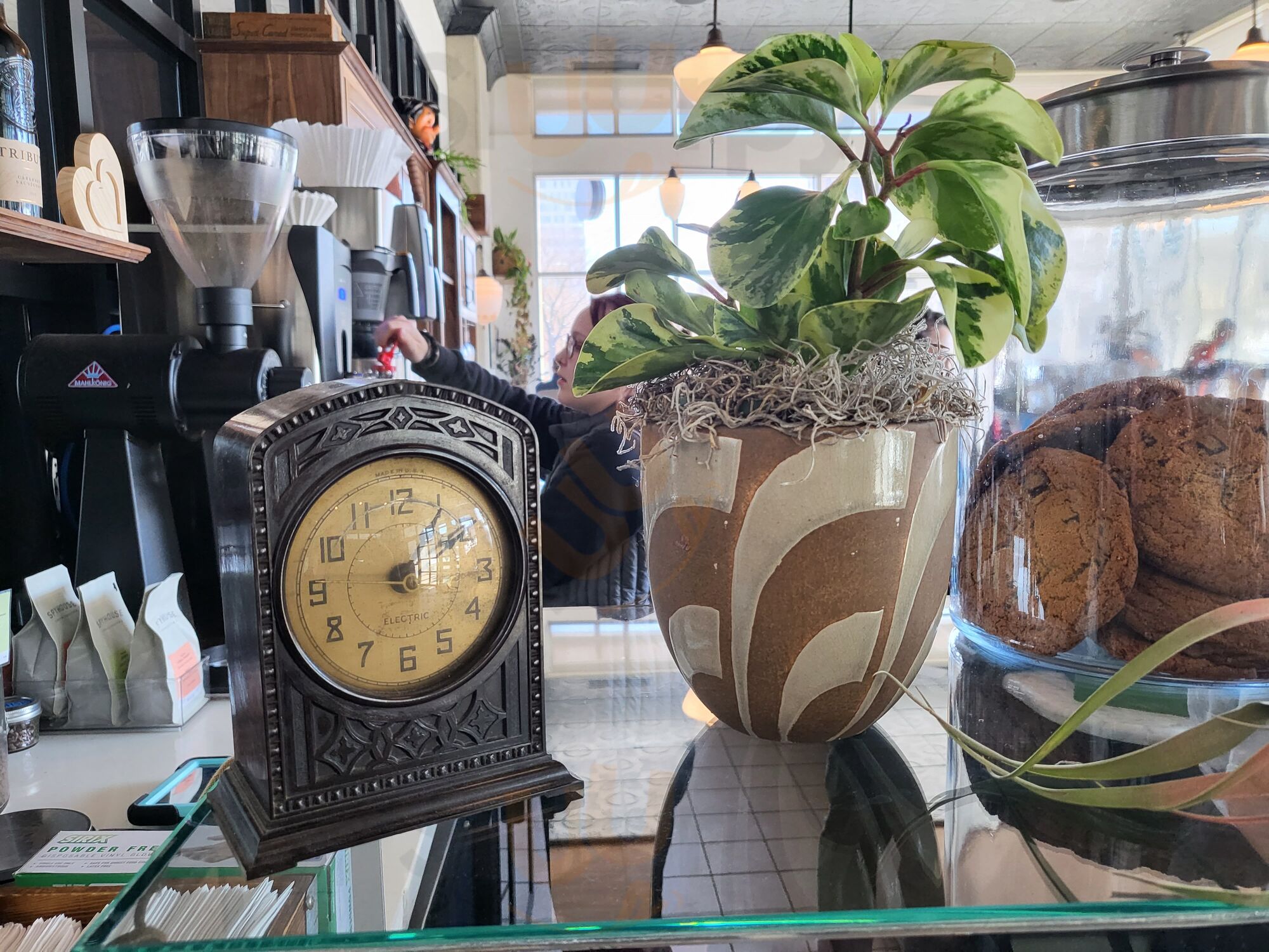 Spyhouse Coffee Roasters