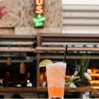 Rocco's Tacos & Tequila Bar