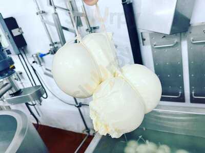 Orobianco Italian Creamery - Blanco