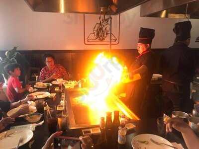 Domo Japanese Hibachi Grill, Sushi And Ramen