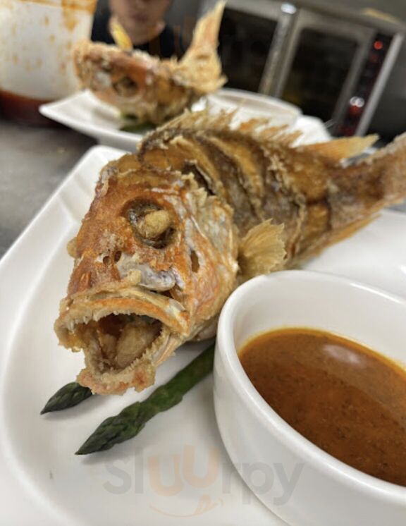 Crab Du Jour Coral Reef