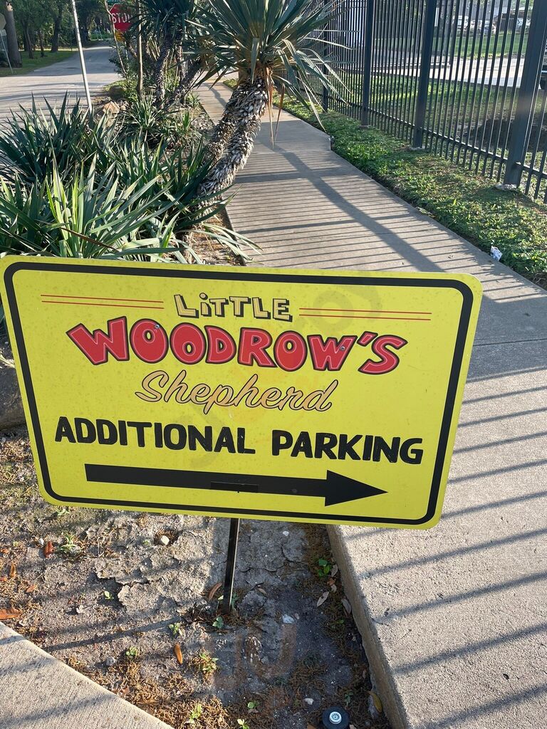 Little Woodrow’s Shepherd